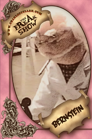Bernstein Card