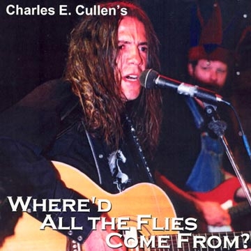 Where'd All The Flies Come From CD Cover