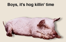 hogkillin3